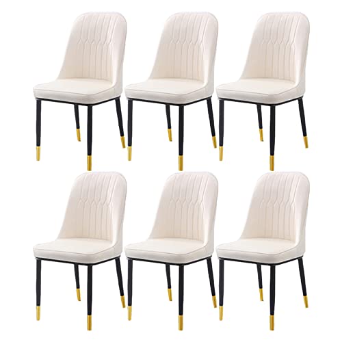 Brass/ Gold Legs - Off-white