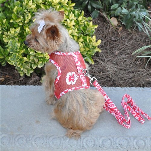 Cool Mesh Dog Harness with Hawaiian Hibiscus Print - Breathable & Adjustable Pet Vest for Small & Medium Dogs - Perfect for Walks, Hiking & Outdoor Adventures