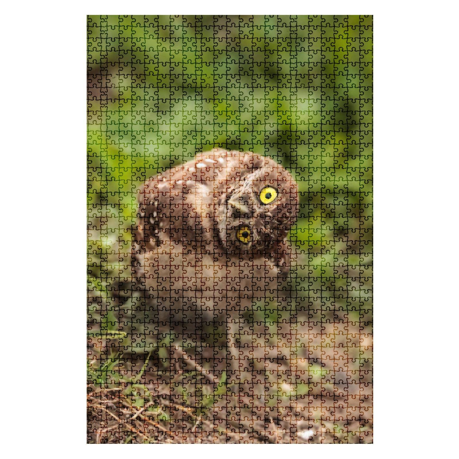 1000 Piece Jigsaw Puzzle - Funny Burrowing Owl (Athene Cunicularia) Challenging Puzzle for Adults & Kids - Educational Toy & Gift for Family Game Night, Classroom Activities, and Stress Relief