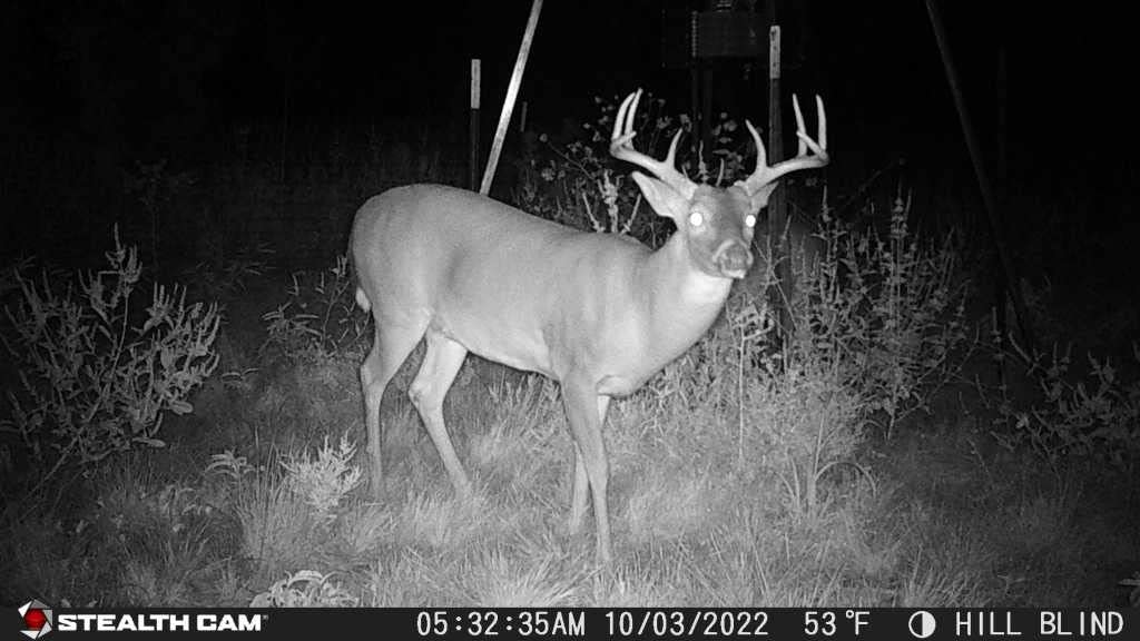 Stealth Cam Reactor Dual Sim Cellular Trail Camera - 4G LTE Wireless Game Camera for Hunting, Wildlife Monitoring & Outdoor Security - Night Vision & Motion Detection