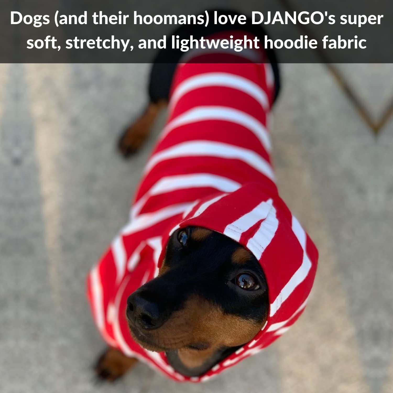 DJANGO Dog Hoodie - Soft, Stretchy & Cozy Winter Sweater for Small Dogs - Dachshund Hooded Sweatshirt with Elastic Waistband & Harness Hole - Machine Washable Red Dog Clothes for Cold Weather - Perfect for Outdoor Walks, Pet Photos & Indoor Lounging