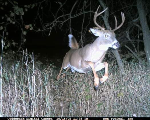 Cuddeback Cuddelink 2 Long Range IR Remote Trail Cameras - L Series with 2 x 16GB SD Cards & Free Hunters Warehouse Hat - Perfect for Wildlife Monitoring, Hunting, and Outdoor Security Surveillance