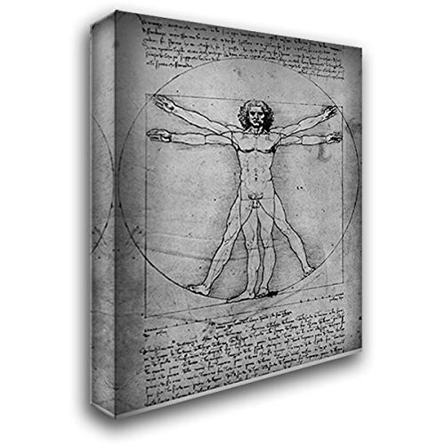 Leonardo da Vinci Vitruvian Man Canvas Art - 20x24 Gallery Wrapped Stretched Wall Decor | Study of Proportions from De Architectura | Perfect for Home, Office & Art Classroom Decor