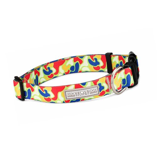 Oscar Collar