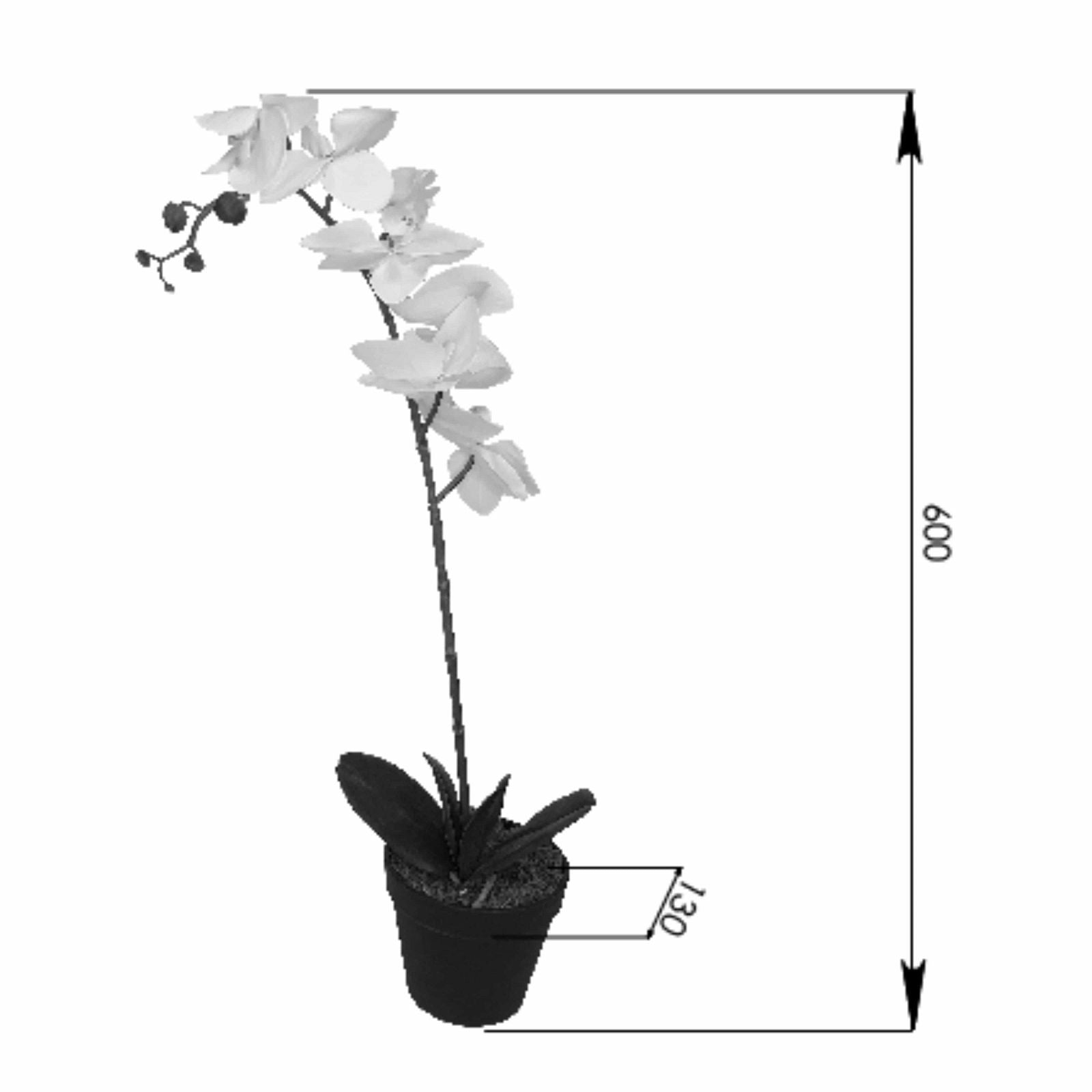 60cm Artificial Orchid Plant with White Flowers - Realistic Fake Floral Decor for Home, Office, Wedding & Party Decoration by Criterion