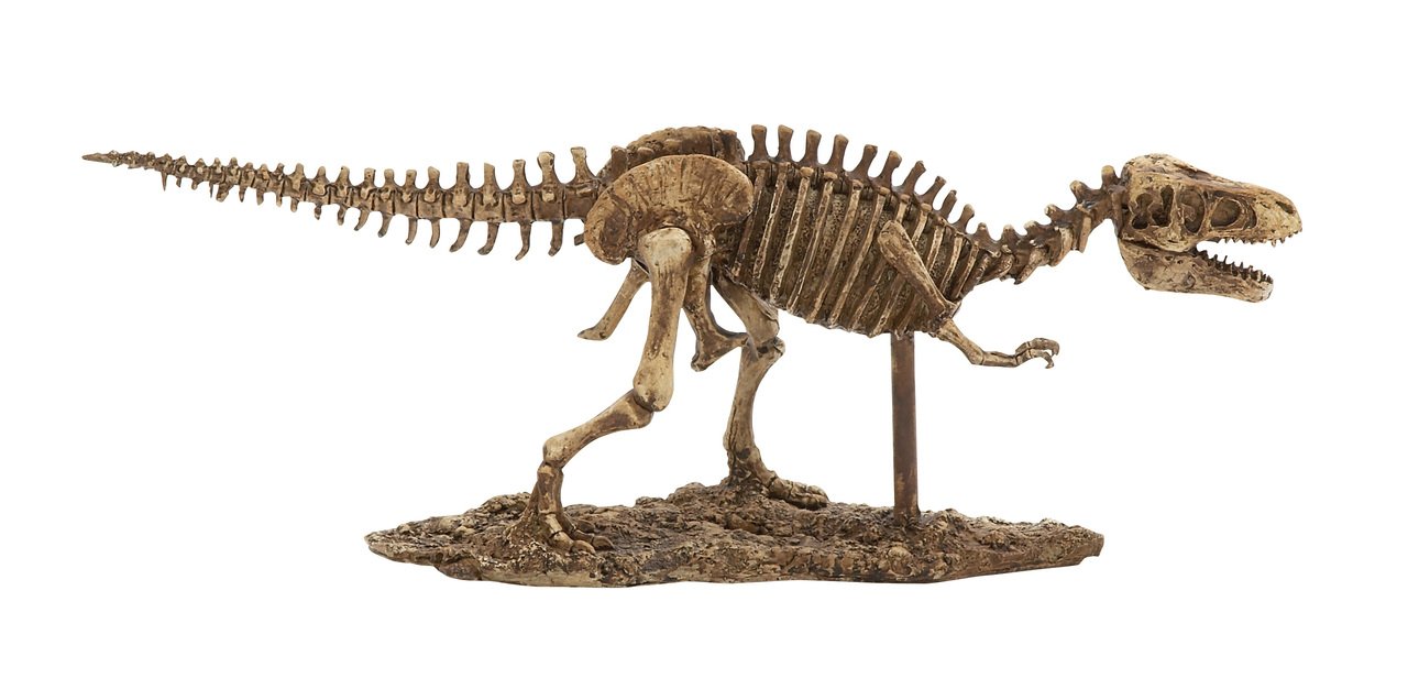 Benzara 44264 Splendid Dinosaur Skeleton Figurine - Realistic Dinosaur Fossil Replica for Home Decor, Office Display & Educational Use