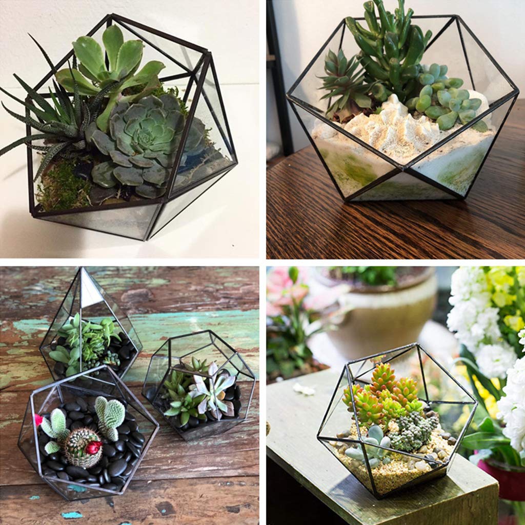 Glass Geometric Terrarium Box - Jewelry Holder & Succulent Planter for Home Decor (Black/Gold, No Plant Included) | Perfect for Tabletop Display, Wedding Centerpieces, and Office Desk Decor