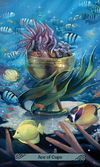 Mermaid Tarot Cards - Unique Fantasy Tarot Deck for Divination, Meditation & Spiritual Guidance | Perfect for Beginners & Professional Readers | Gift for Tarot Lovers & Mystic Enthusiasts