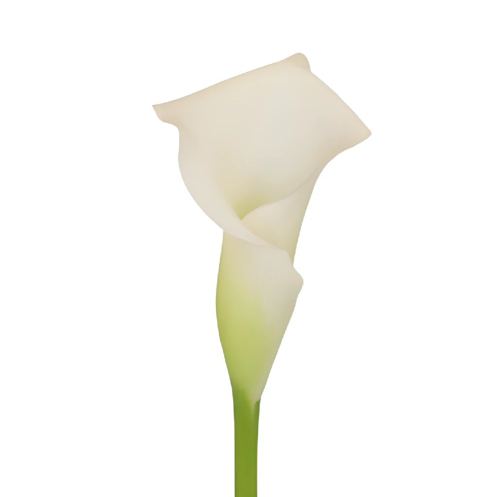 Mini Calla Lily Flower - Elegant Artificial Silk Blossoms for Wedding Bouquets, Home Decor, and Floral Arrangements | Perfect for Centerpieces, Bridal Showers, and DIY Crafts