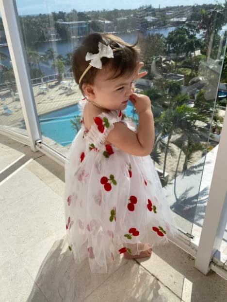 Infant Toddler Baby Girl Summer Dress - Sleeveless Floral Fruit Embroidery Casual Mesh Tutu Puff Dress for Playdates, Beach Outings & Birthday Parties