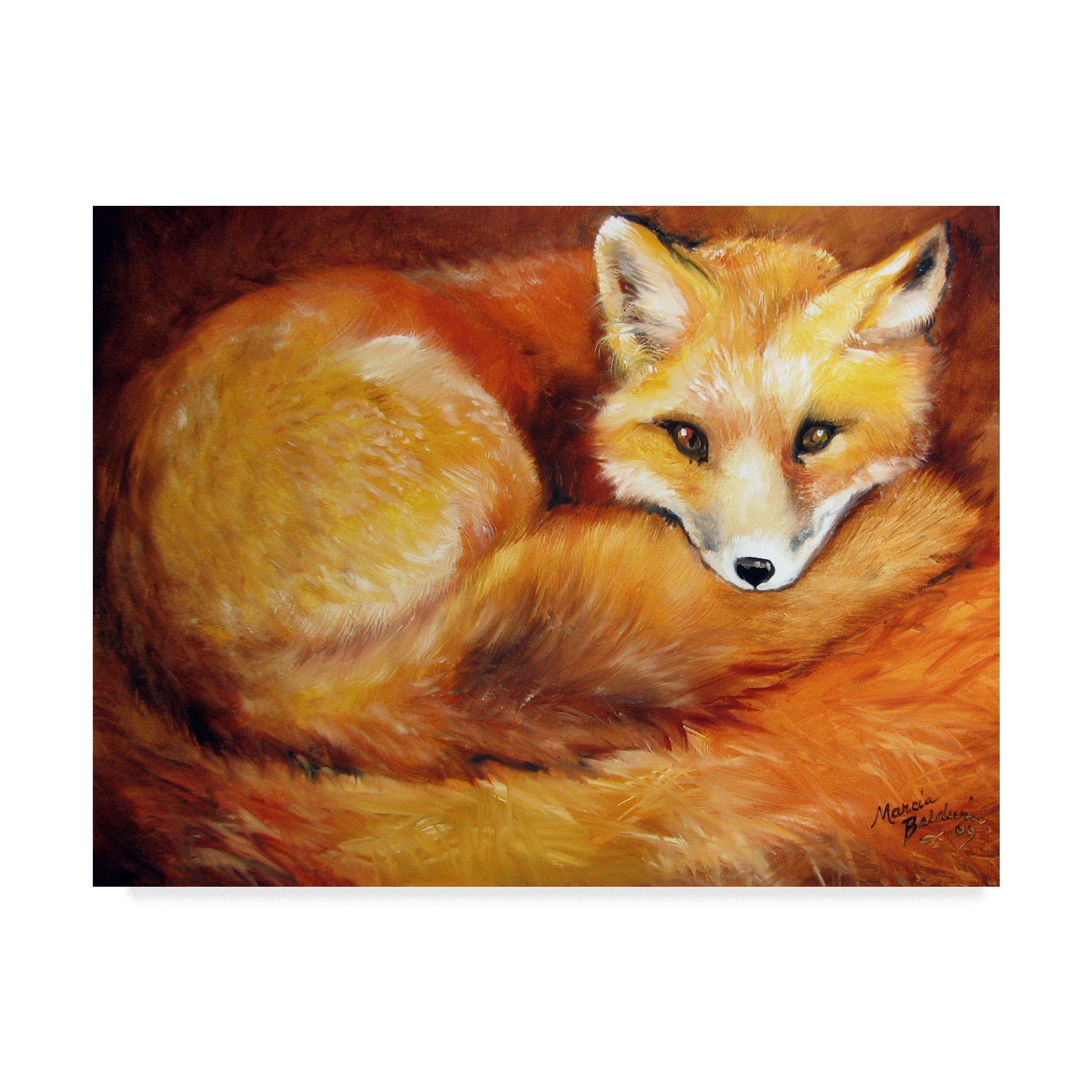 Trademark Fine Art Marcia Baldwin Multicolor Canvas Painting - Perfect for Living Room, Bedroom & Office Wall Decor