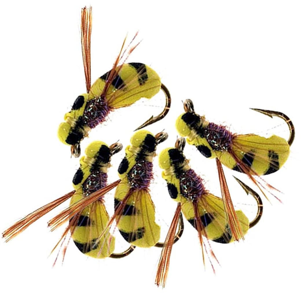 Premium Fly Fishing Flies Kit - 32 to 148 Pcs Assortment for Trout, Steelhead, Salmon & Bass | Dry Flies, Wet Flies, Nymphs, Streamers & Maggots | Complete Fly Lure Set for Freshwater & Saltwater Fishing | Ideal for Fly Fishing Beginners & Experts