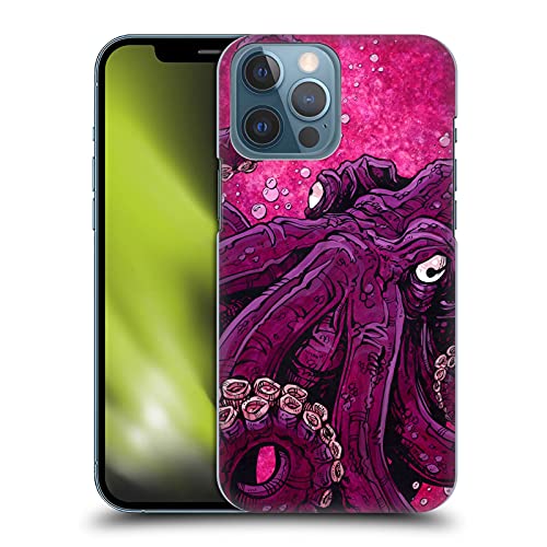 Octopus Squid