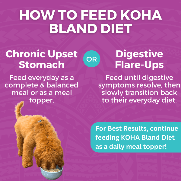 KOHA Limited Ingredient Dog Food - Grain Free Beef & White Rice Recipe for Sensitive Stomachs - Perfect for Dogs with Allergies or Digestive Issues - Dry Kibble for Adult & Senior Dogs - Great for Meal Toppers or Mixers