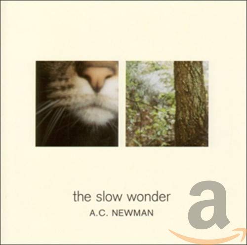 Slow Wonder - Premium Handcrafted Home Decor & Unique Gifts for Cozy Living Rooms, Bedrooms & Offices | Perfect for Boho, Farmhouse & Modern Interior Design Styles