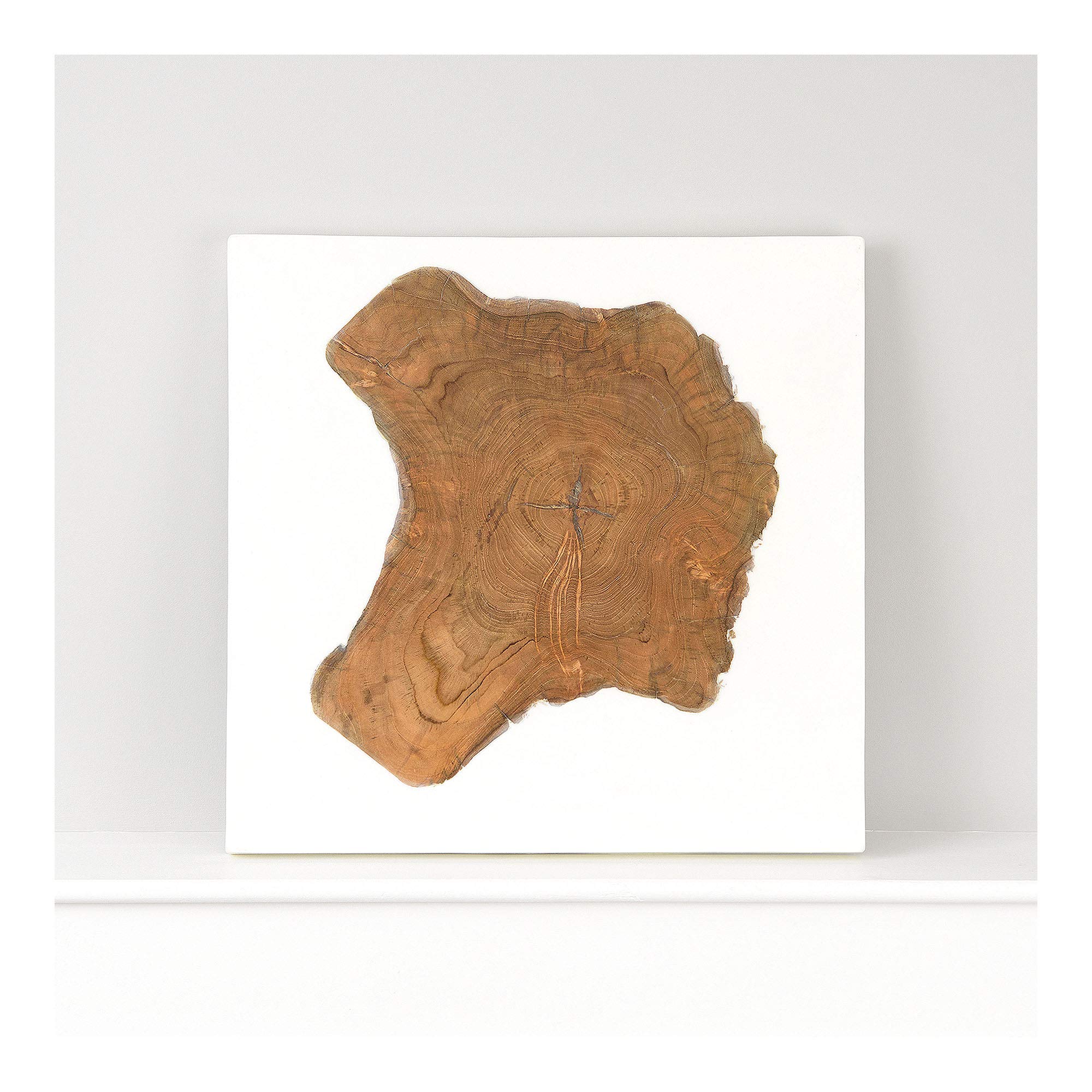 Premium Teak and White Resin Wall Art Decor - Elegant Home & Office Decoration for Living Room, Bedroom, and Dining Area