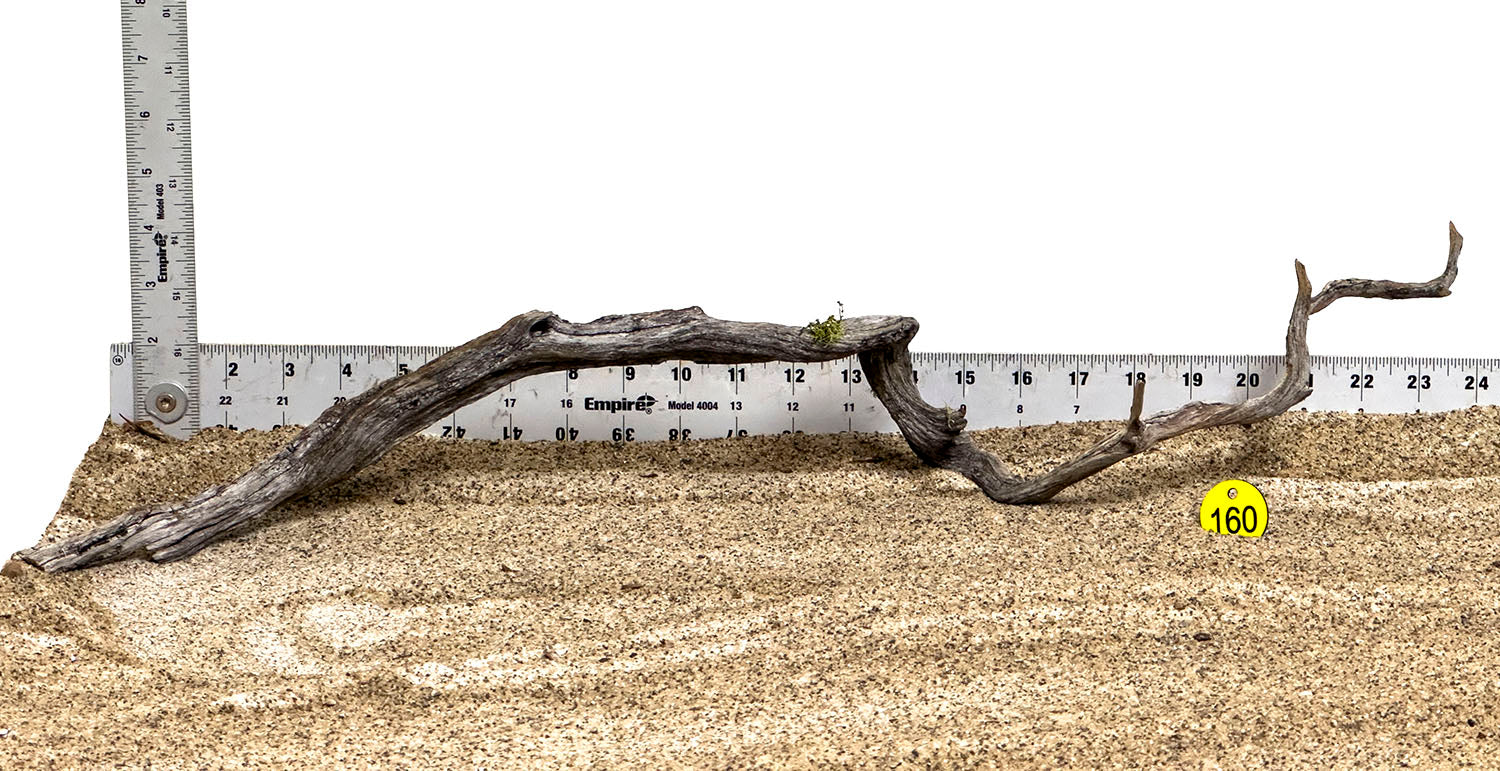 Natural Large Manzanita Wood Branch for Aquarium Decor, Reptile Habitat, and Floral Arrangements – Premium 160Y WYSIWYG Driftwood