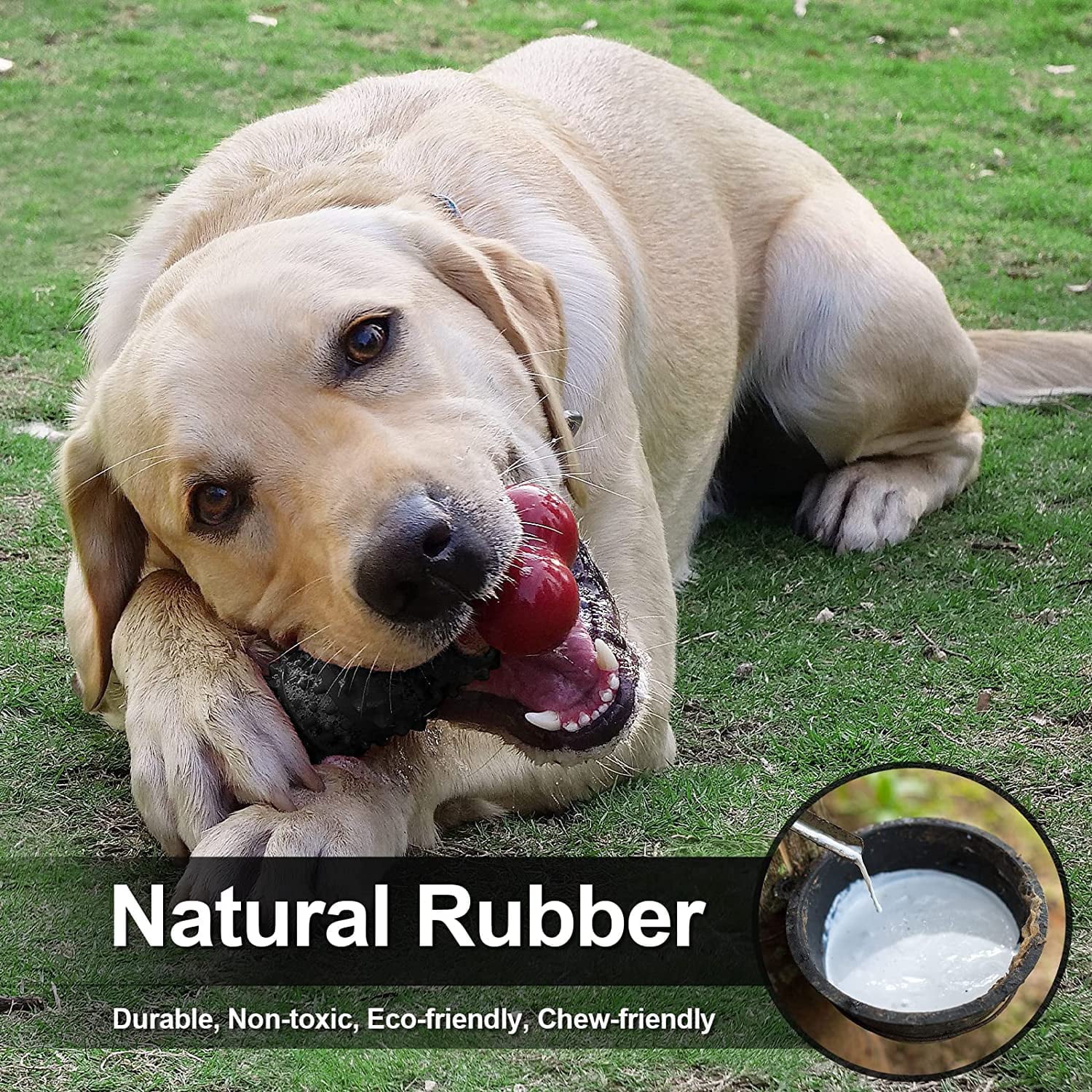 Durable Dog Toys for Aggressive Chewers - Interactive Puzzle Chew Toys for Puppies & Adult Dogs - Tough Rubber Chew Toy for Birthday Gifts - Perfect for Indoor Play & Training