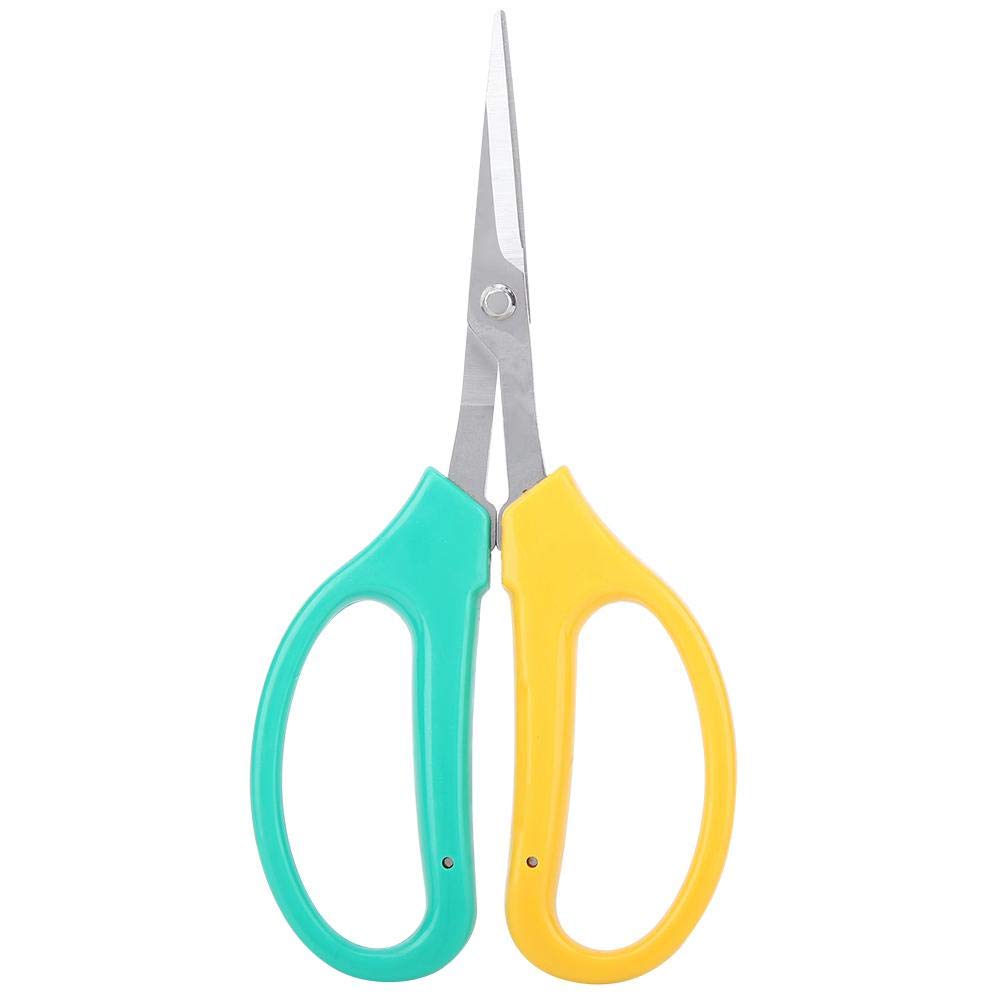 Premium Stainless Steel Curved Blade Pruning Shears - Sharp Garden Scissors for Grape Vines, Fruit Trees, Bonsai Trimming & Gardening | Ideal for Harvesting, Shaping & Precision Cutting