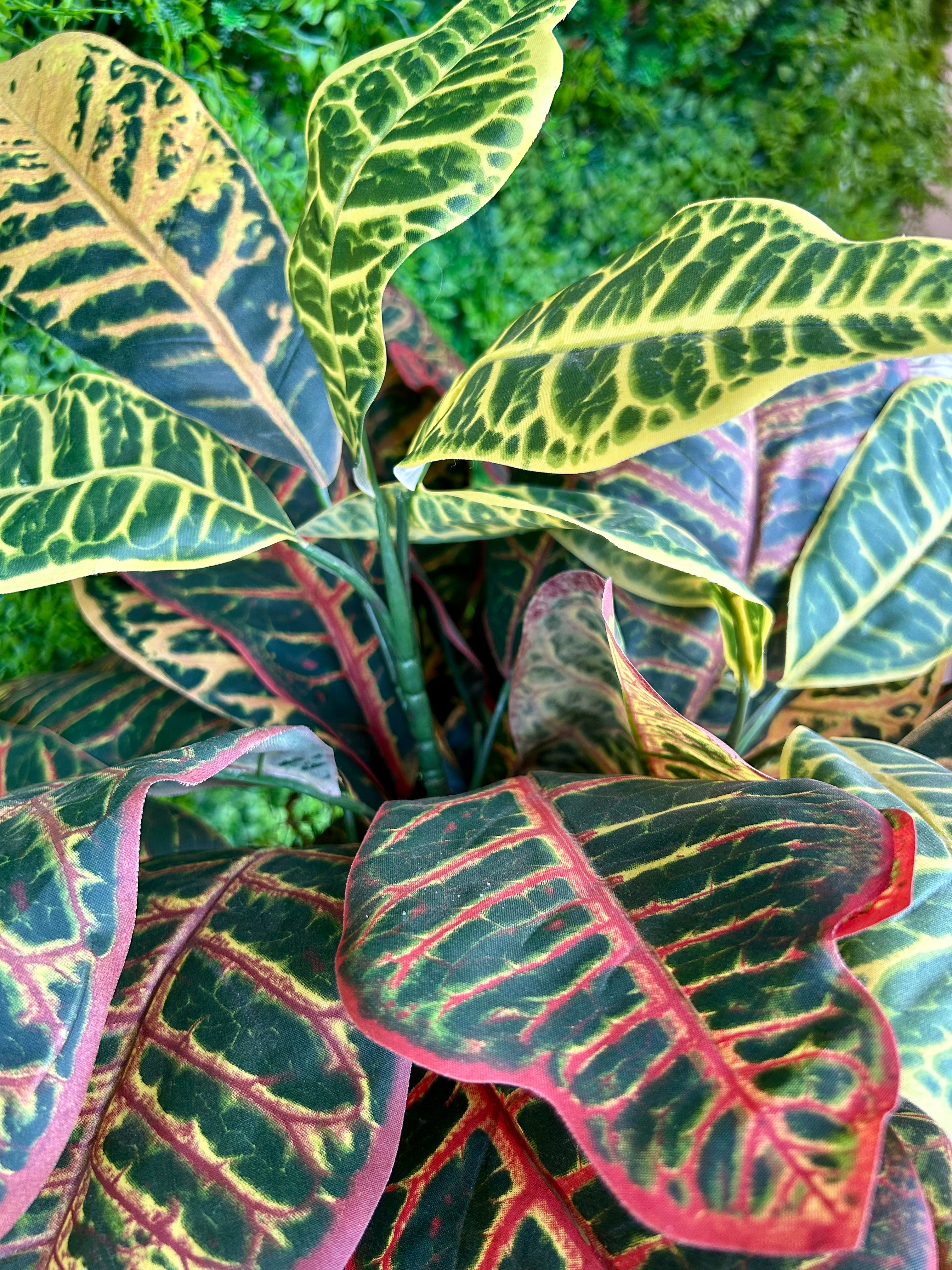 6 Inch Silk Potted Croton Artificial Plant - Realistic Faux Croton Houseplant for Home Decor, Office Desk, Living Room & Indoor Greenery