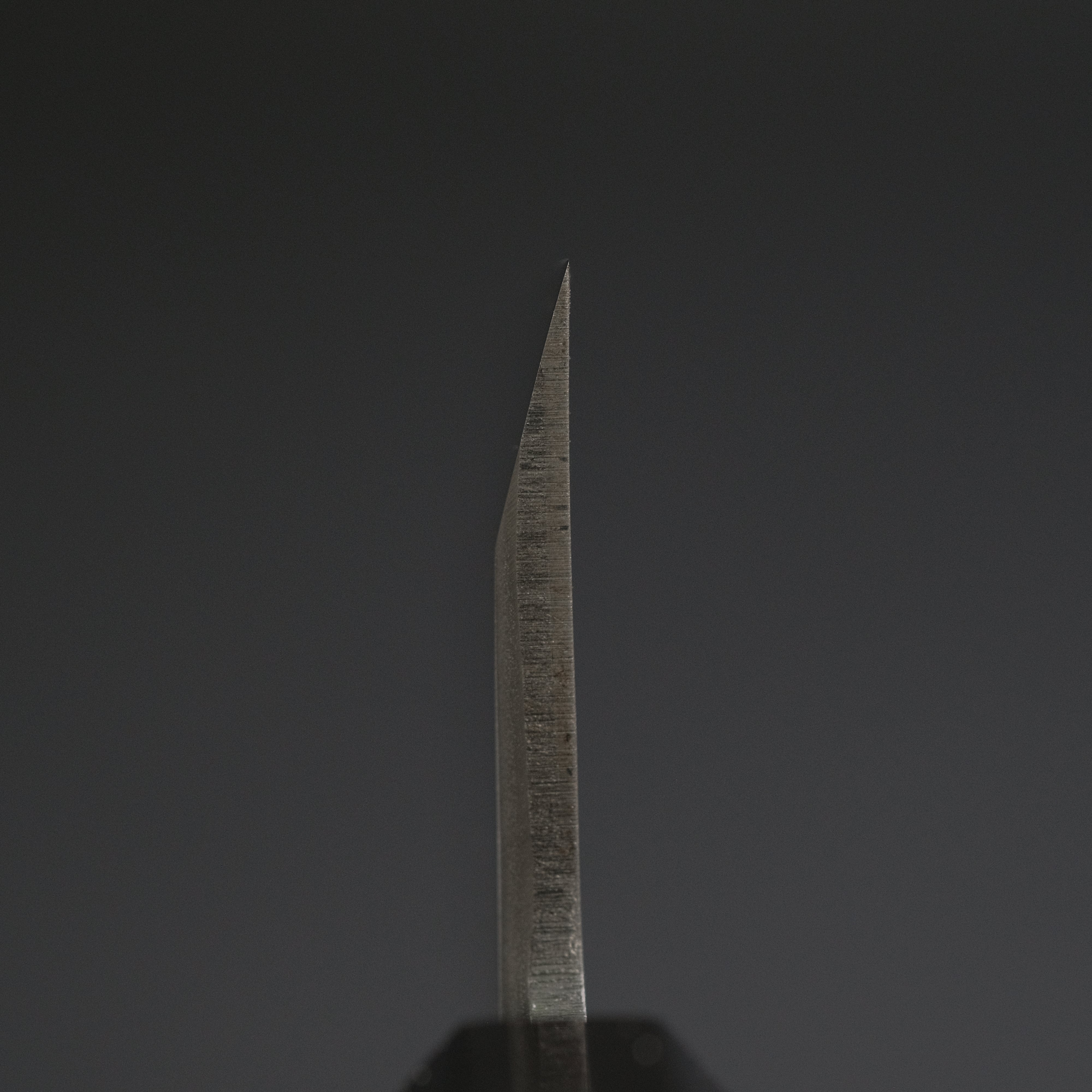 Hitohira Togashi Blue #2 Deba Knife 165mm - Japanese Chef Knife with Ho Wood Handle & Saya Sheath - Perfect for Sushi, Fish Filleting & Japanese Cuisine