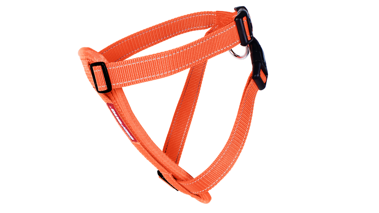 EzyDog No-Pull Dog Harness with Chest Plate - Adjustable & Reflective for Medium & Large Dogs - Perfect for Walking, Running & Hiking (Orange)