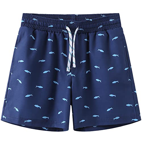 Navy-shark