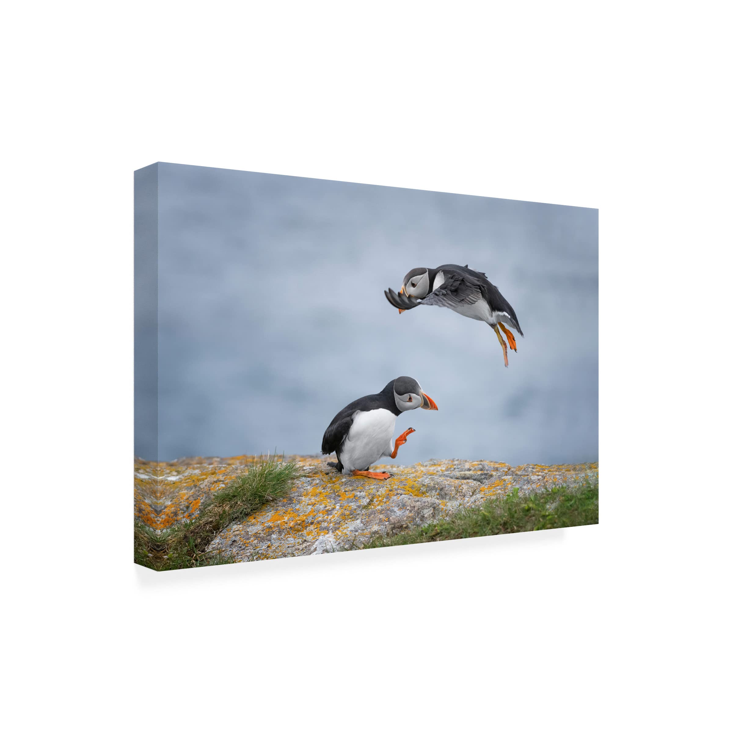 Larry Deng 'Hey' Canvas Art Print - Modern Abstract Wall Decor for Living Room, Bedroom & Office - Trademark Fine Art Collection