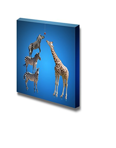 Zebras