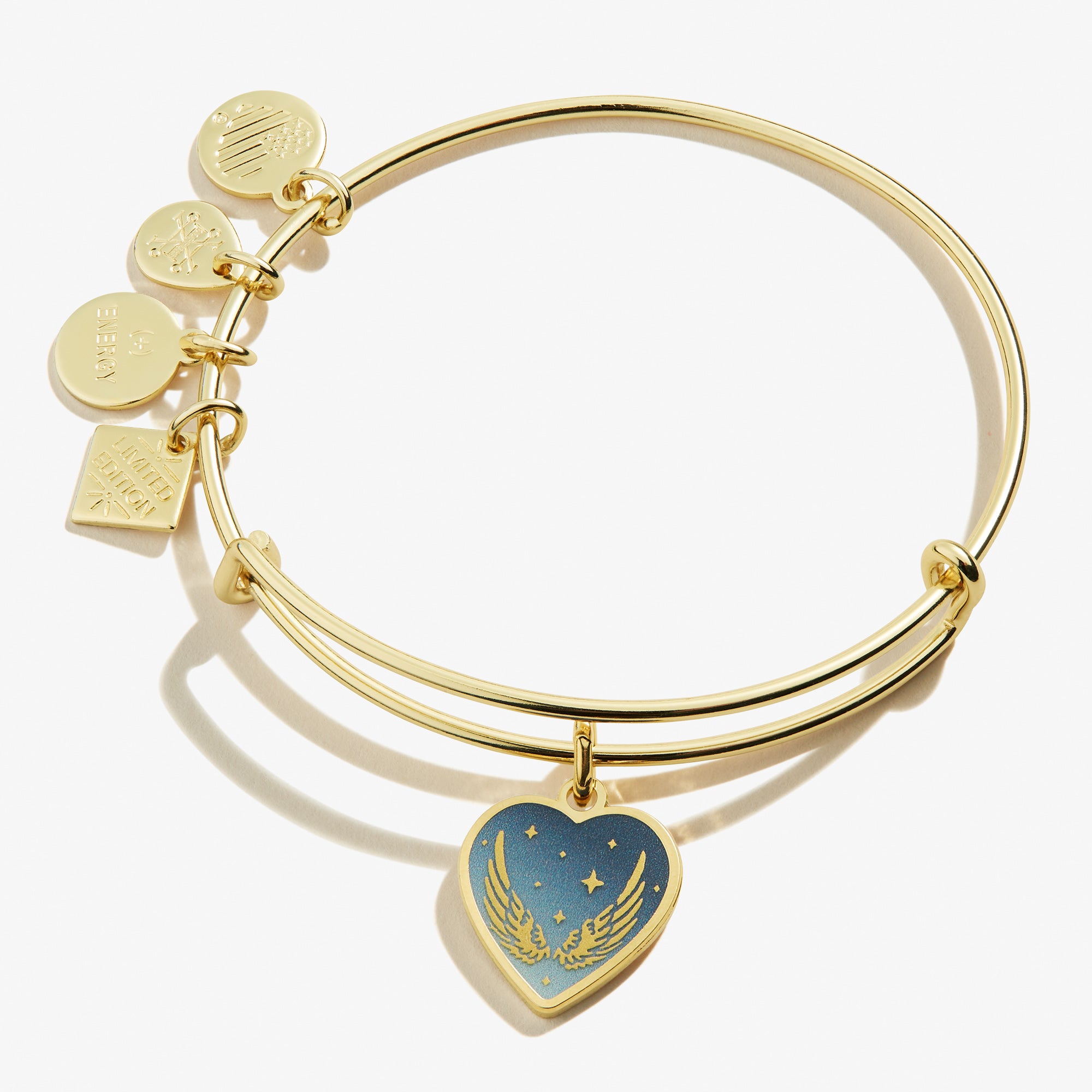 Guardian of Your Heart Charm Bangle - Elegant Adjustable Bracelet for Women, Gift for Her, Valentine's Day Present - Perfect for Romantic Dates, Anniversaries & Special Occasions