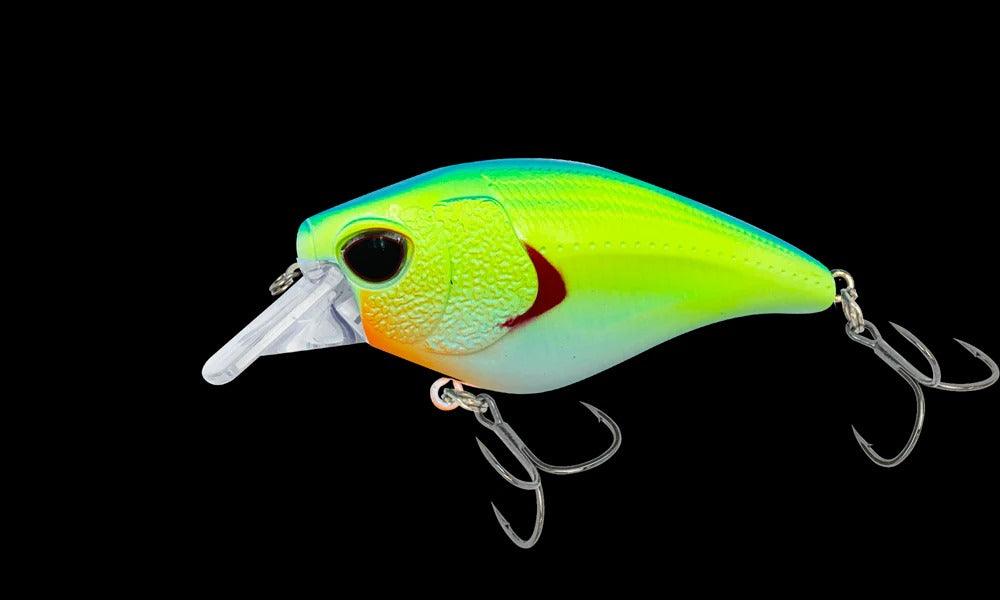 Chartreuse Blue Back