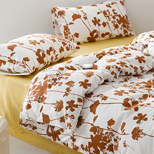 Terracotta Orange