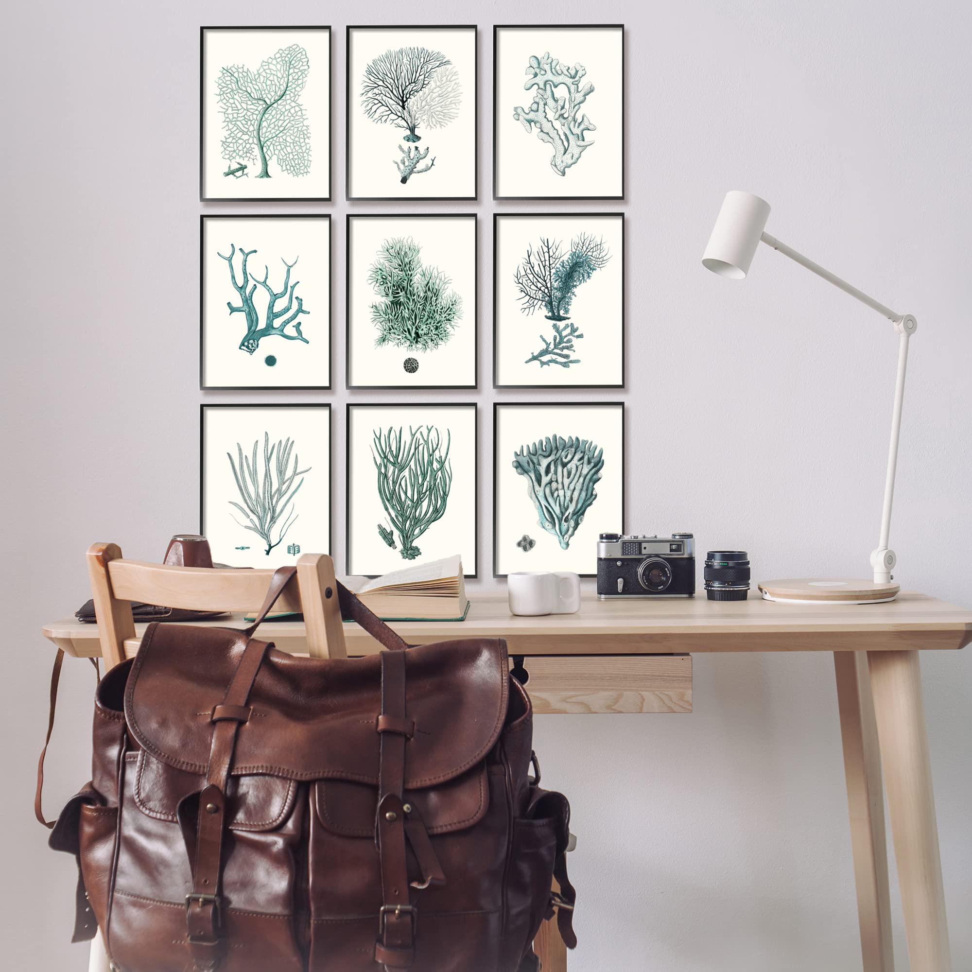Stupell Industries Deep Sea Coral Arrangement Blue Ocean Plant Life Wall Art - Johann Esper Design - Coastal Home Decor for Living Room, Bedroom & Bathroom