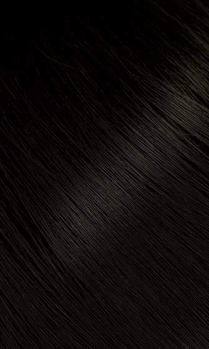 Bigen Permanent Hair Color Powder #58 Black Brown - 12 Pack | Long-Lasting Natural-Looking Hair Dye for Men & Women | Perfect for At-Home Hair Coloring & Touch-Ups