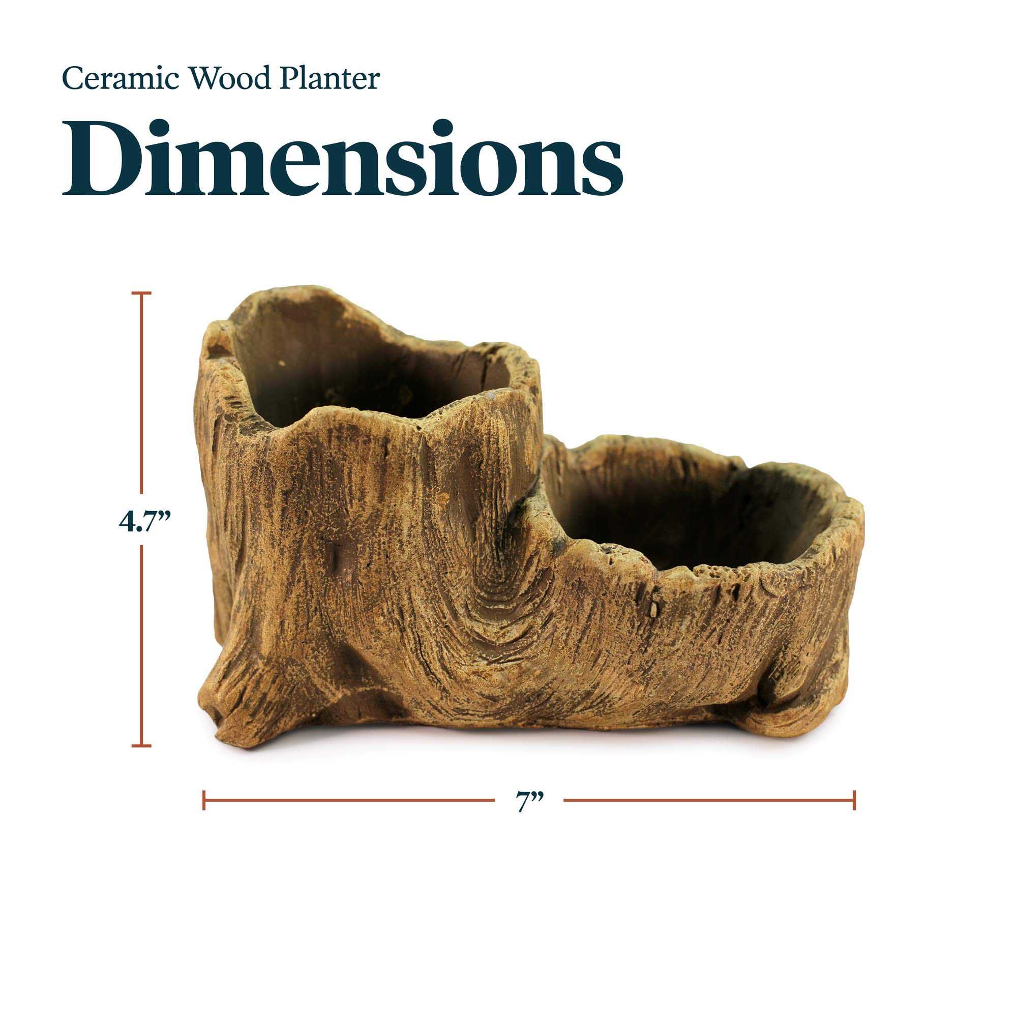Ceramic Wood Plant Pot - Indoor Wood Planter with Unique Log Design for Succulents, Flowers & Small Plants | Perfect for Home Decor, Office Desk & Gift Giving (Driftwood Boot Style)