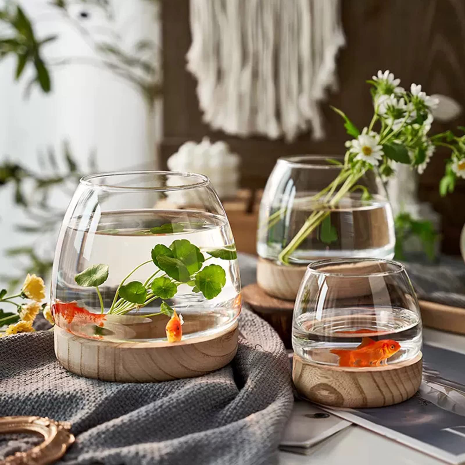 TSYFM Mini Glass Fish Tank Bowl - Small Desktop Round Aquarium for Betta Fish, Hydroponic Plants, Terrarium & Home Decor | Perfect for Office, Living Room, Bedroom Decor
