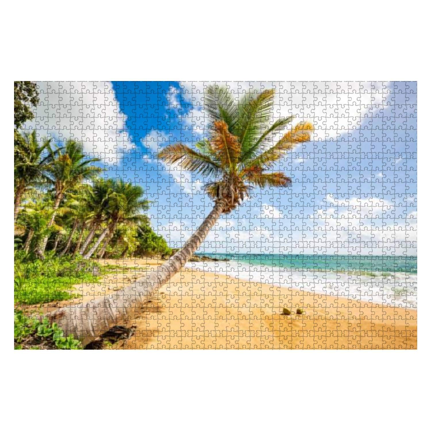 1000-Piece Wooden Jigsaw Puzzle - Exotic Caribbean Shore of Puerto Rico Flamenco Beach Scenery | Educational Puzzle Game for Kids & Adults | Stress Relief & Family Bonding Activity | Perfect for Home Decor, Gifts, and Relaxation Time