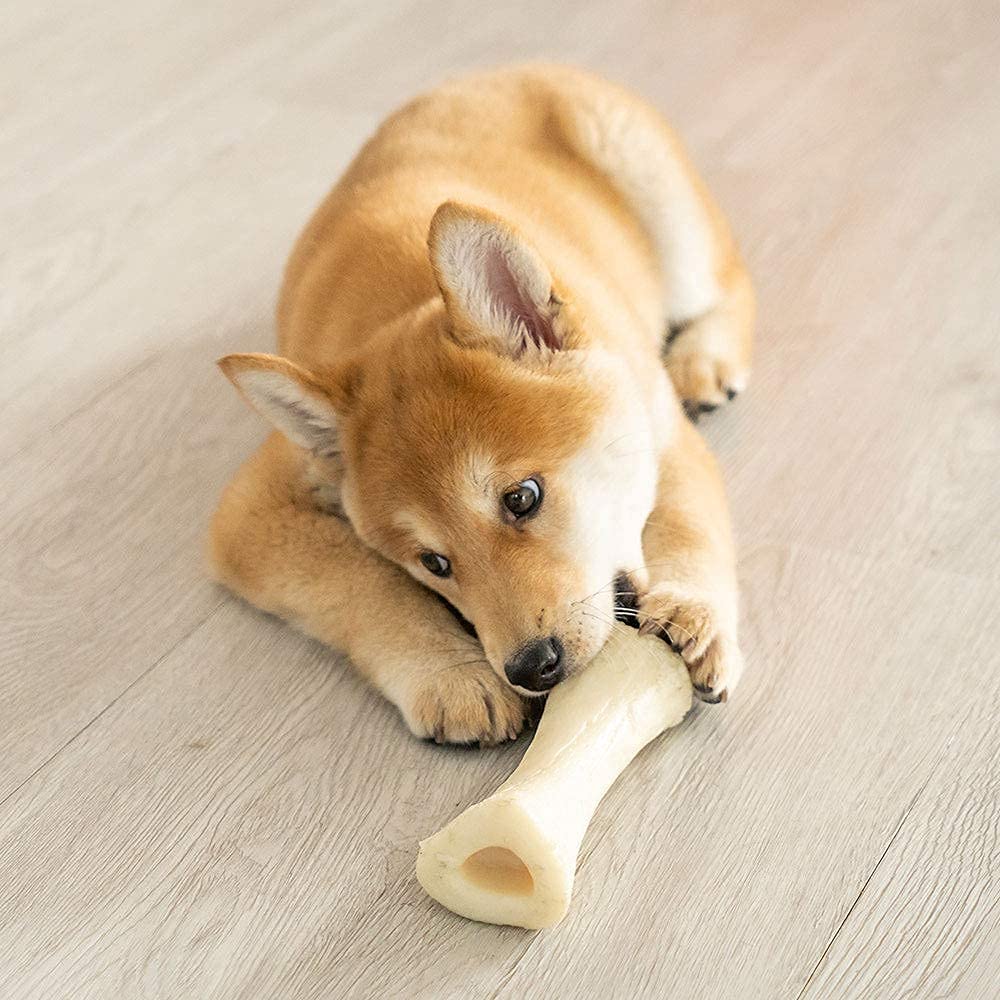 Durable Nylon Dog Chew Toys for Aggressive Chewers - Large Breed Tough Bone Toy for Medium to X-Large Dogs & Teething Puppies | Indoor & Outdoor Play, Training Reward, Anxiety Relief