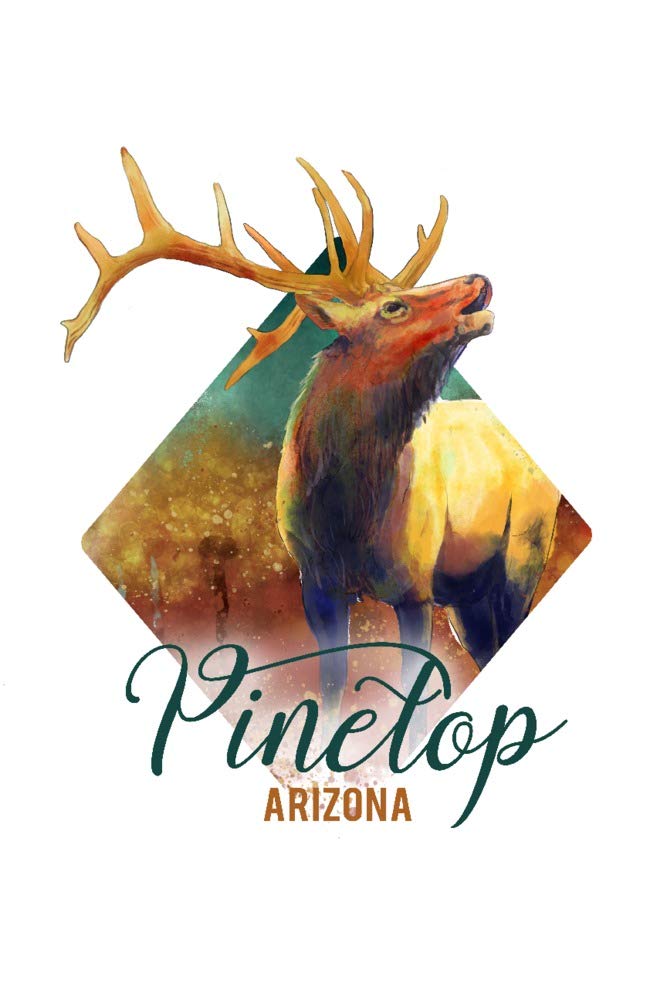 Lantern Press 16x24 Inch Giclee Art Print - Pinetop Arizona Elk Watercolor Painting with Contour Details | Perfect for Home Decor, Office Wall Art & Cabin Retreats