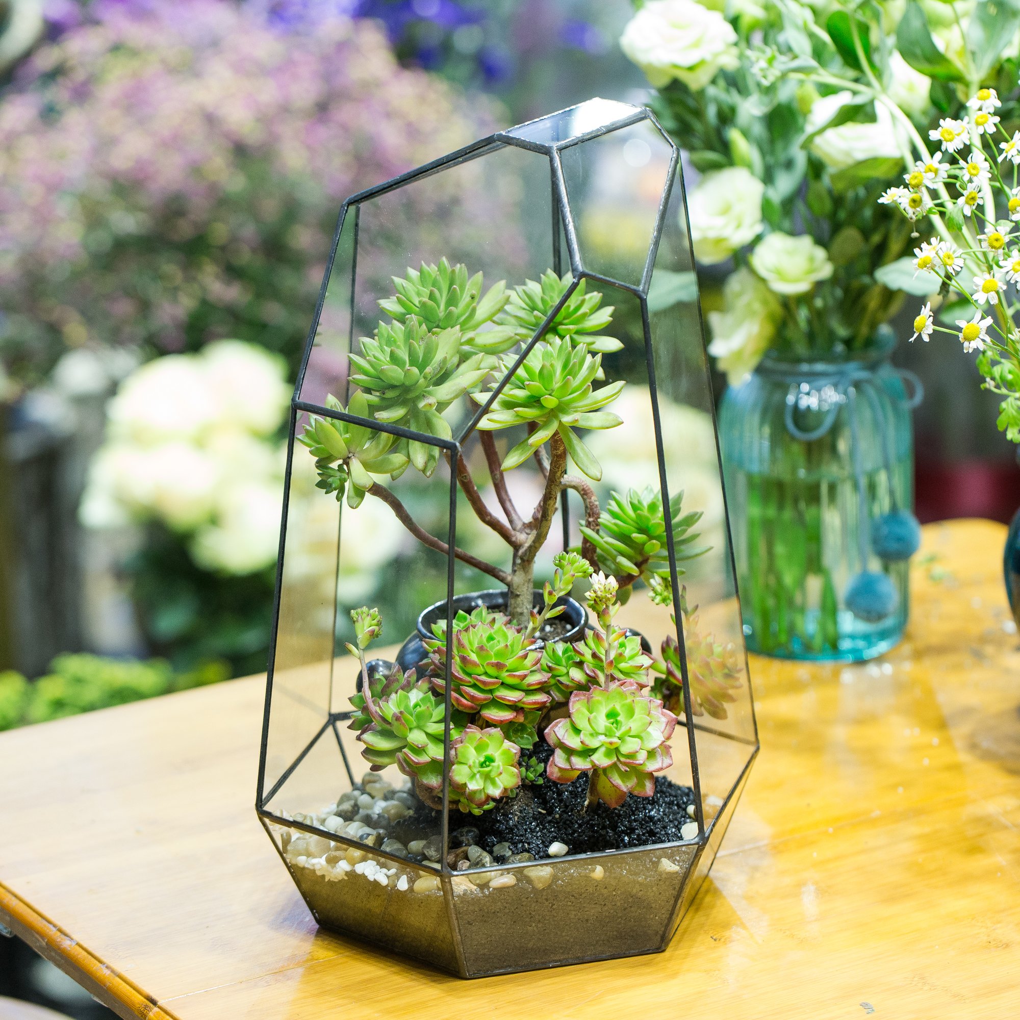 NCYP 16-Inch Large Geometric Glass Terrarium - Handmade Open Irregular Terrarium Pot for Air Plants & Succulents | Home Garden Decor, Tabletop Planter | Perfect for Living Room, Office & Wedding Centerpieces (No Plants/Door Included)