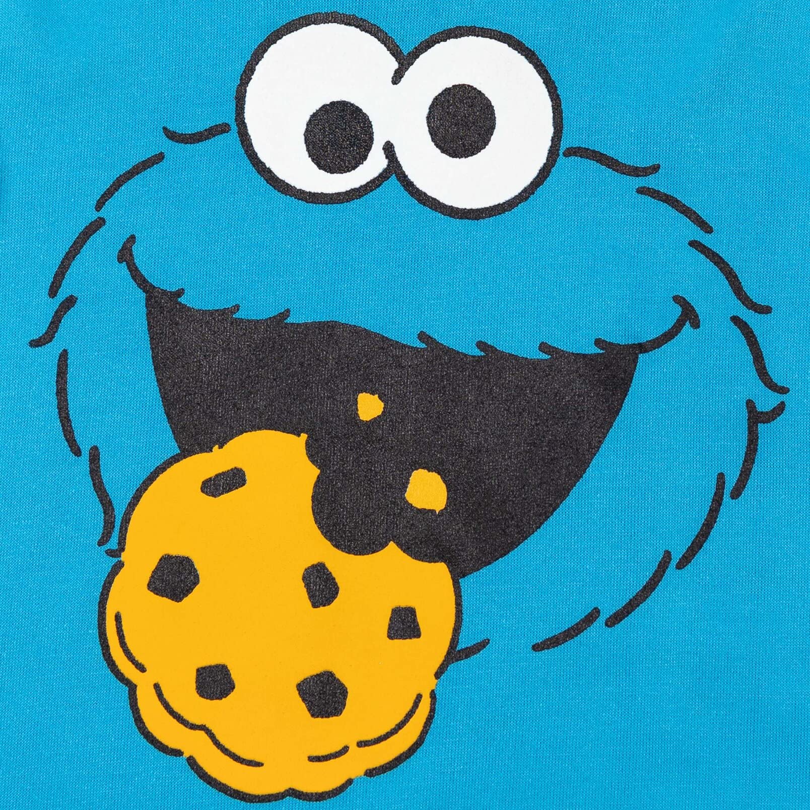 Sesame Street Abby Cadabby Elmo Big Bird Cookie Monster Oscar The Grouch Pullover Hoodie for Babies & Toddlers - Soft Cotton Kids Sweatshirt for Playtime & Family Outings