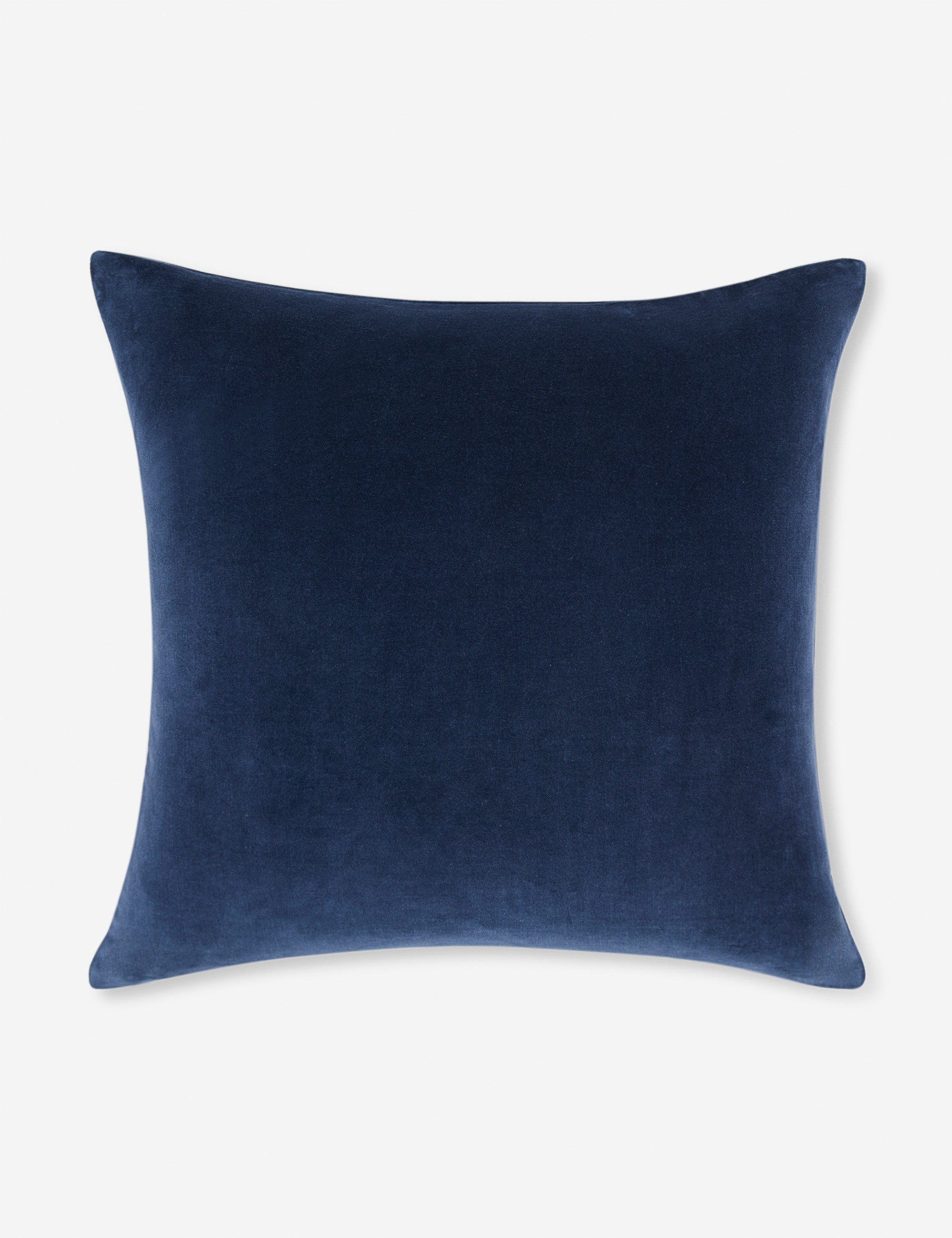 Charlotte Velvet Pillow - Soft Luxury Decorative Throw Pillow for Sofa, Bed & Couch - Perfect for Living Room, Bedroom & Home Decor