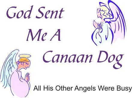 Cahoon's Closet God Sent Me A Canaan Dog T-Shirt - Funny Christian Dog Lover Tee - Perfect Gift for Pet Owners & Church Goers