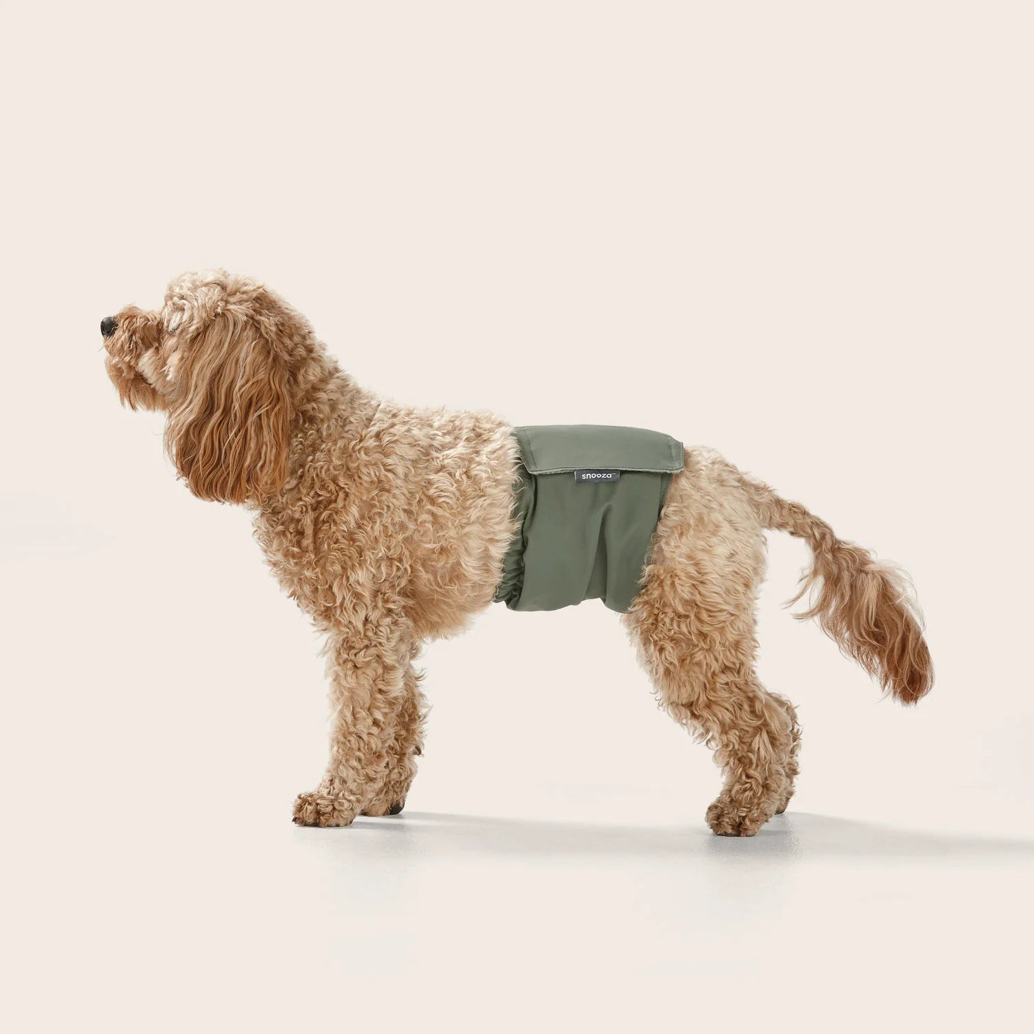 Washable Male Dog Diaper Band - Reusable Twin Pack for Incontinence & Training | Perfect for Travel, Home & Outdoor Use