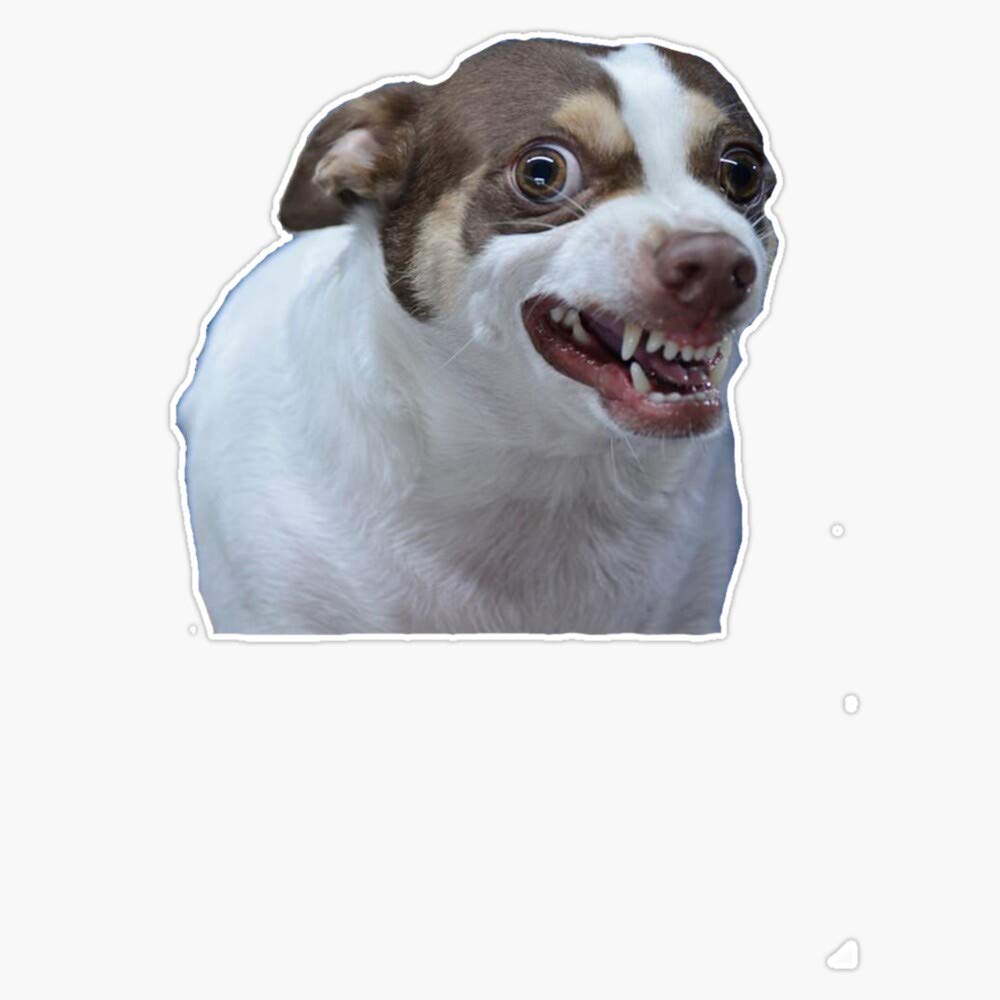 Mr Bubz 5