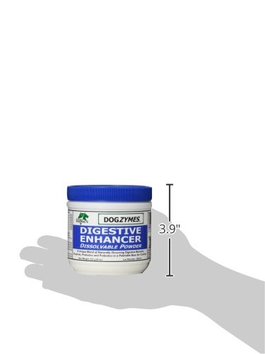 DOGZYMES Digestive Enzyme Powder for Dogs - 8oz | Probiotic & Prebiotic Supplement for Gut Health | Supports Digestion & Nutrient Absorption | Ideal for Sensitive Stomachs & Senior Dogs