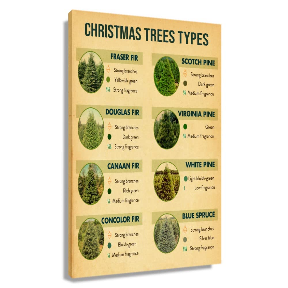 Vintage Christmas Tree Types Knowledge Poster - Giclee Fine Art Print Canvas Wall Decor for Bedroom, Bathroom, Kitchen & Home - Framed Painting Artwork Picture Gift (24x36inch/60x90cm) - Perfect for Holiday Decorations, Housewarming Gifts & Cozy Home Interior Design