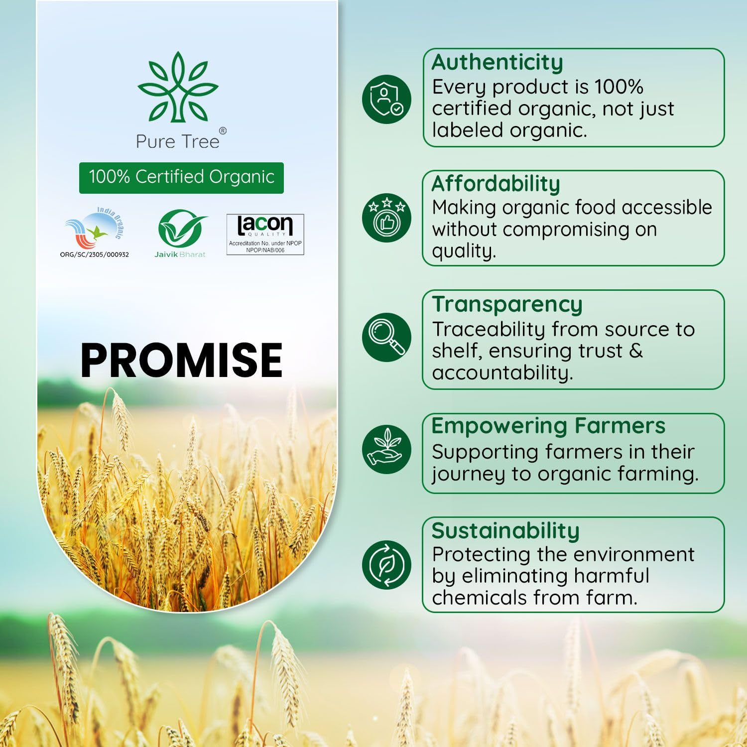 Pure Tree Certified Organic Turmeric Powder (Haldi) - 250g | USDA Organic Spice for Cooking, Golden Milk & Wellness | Strong Antioxidant for Healthy Lifestyle