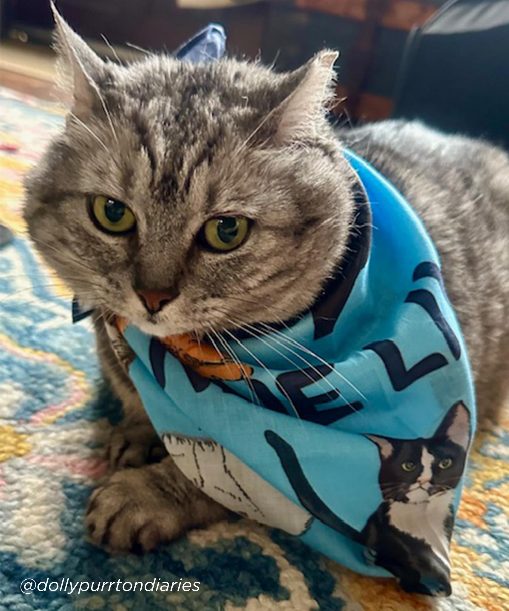 Nine Lives Cotton Bandana for Dogs - Soft & Breathable Pet Bandana - Adjustable Neck Wrap for Small & Large Dogs - Perfect for Grooming, Photos & Outdoor Adventures