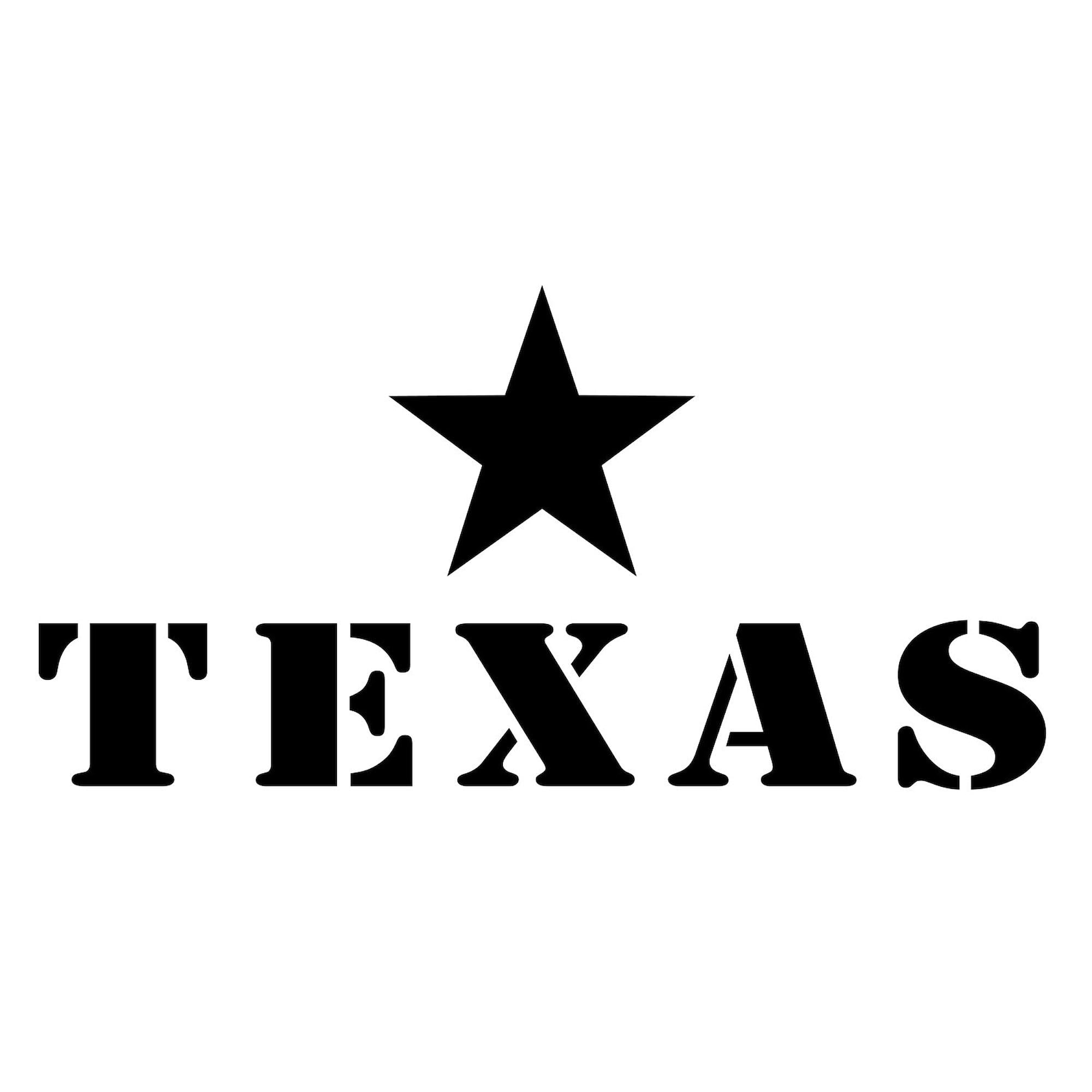 Texas Lone Star State Bumper Sticker 10 Pack - 10